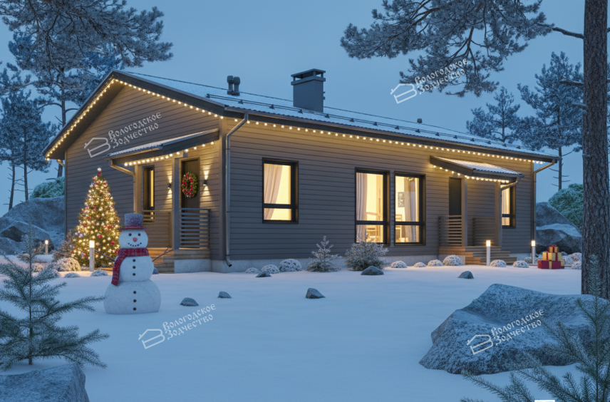 Каркасный дом VZ-807