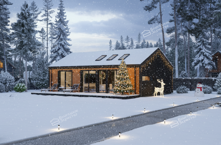 Каркасный дом VZ-808