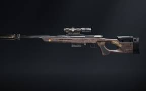 Оптимальная