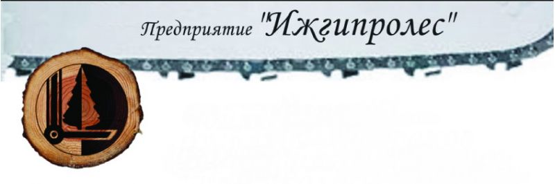 ООО "ИЖГИПРОЛЕС"