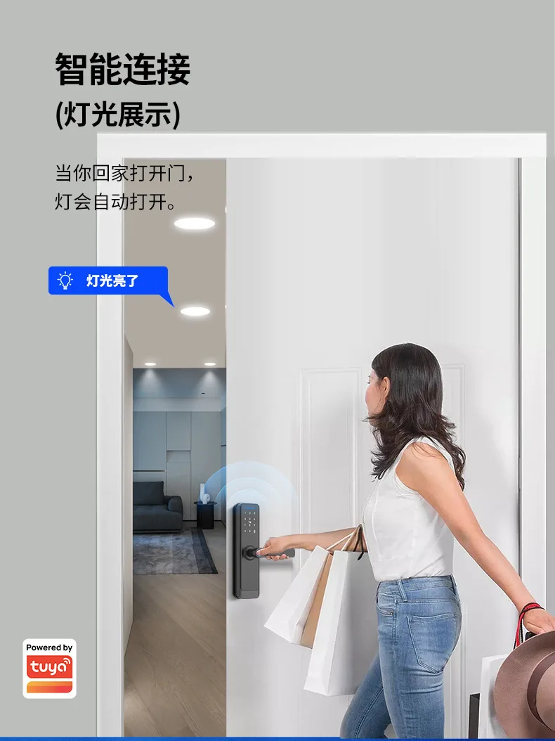 Умный замок для внутренней двери с отпечатком пальца, Wi-Fi и Bluetooth
